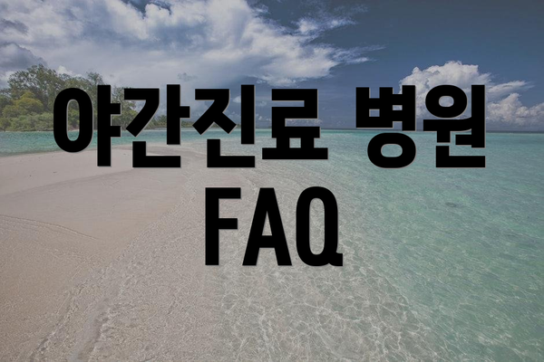 야간진료 병원 FAQ