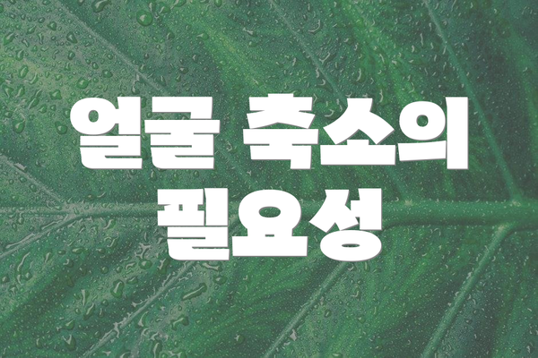 얼굴 축소의 필요성