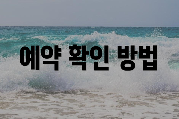 예약 확인 방법