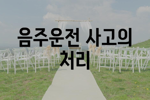 음주운전 사고의 처리