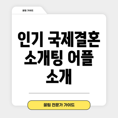 인기 국제결혼 소개팅 어플 소개
