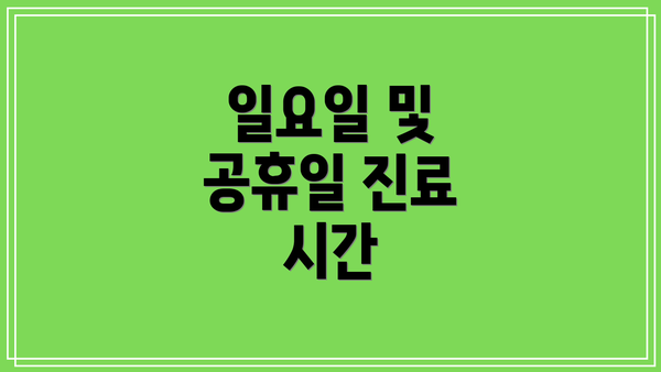 일요일 및 공휴일 진료 시간