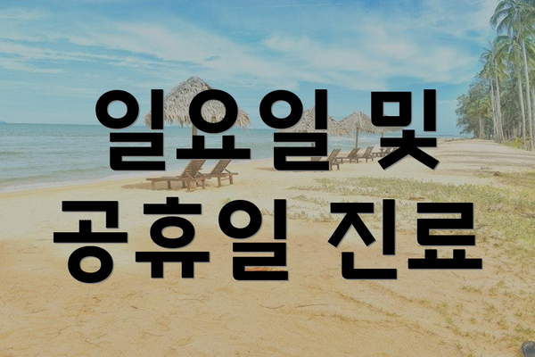 일요일 및 공휴일 진료