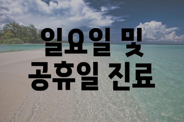 일요일 및 공휴일 진료