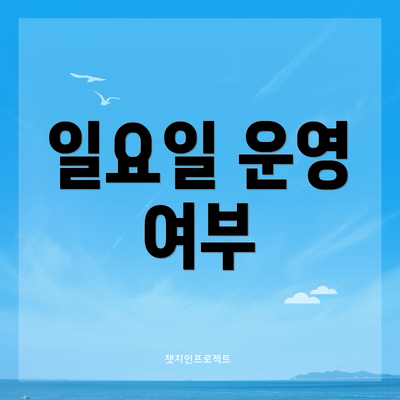 일요일 운영 여부