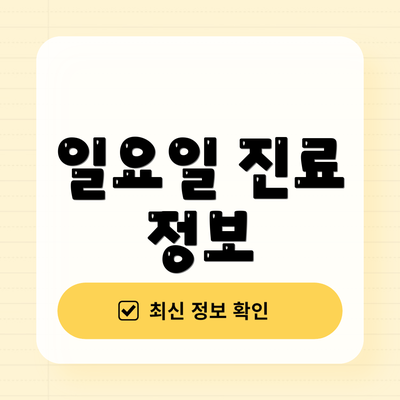 일요일 진료 정보