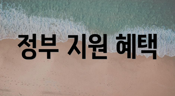 정부 지원 혜택
