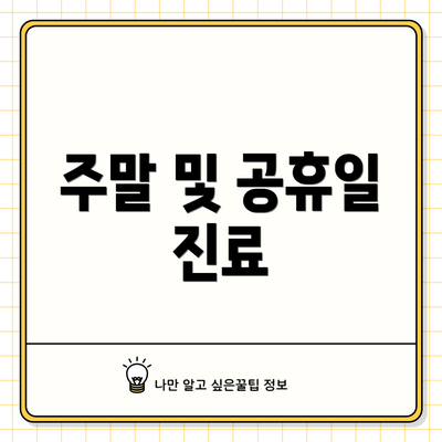 주말 및 공휴일 진료