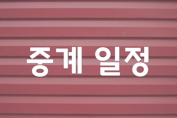 중계 일정