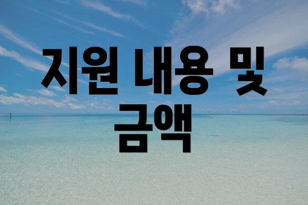 지원 내용 및 금액