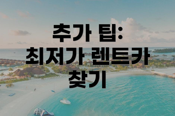 추가 팁: 최저가 렌트카 찾기