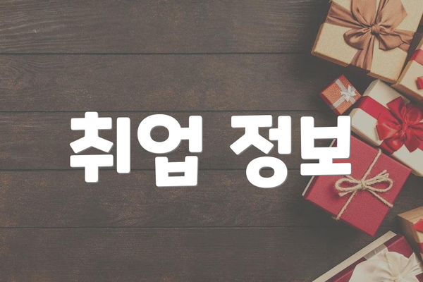 취업 정보
