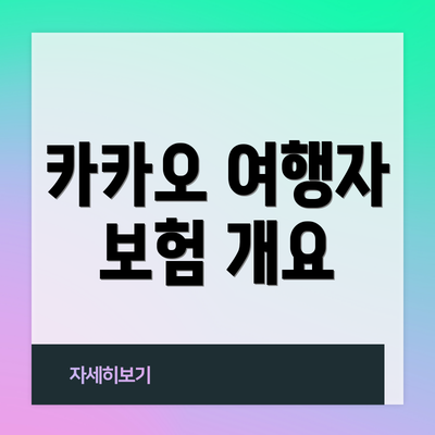 카카오 여행자 보험 개요