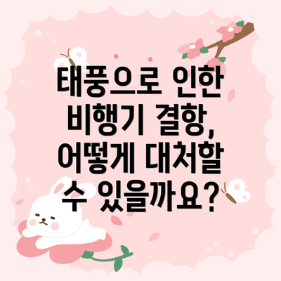 태풍으로 인한 비행기 결항, 어떻게 대처할 수 있을까요?
