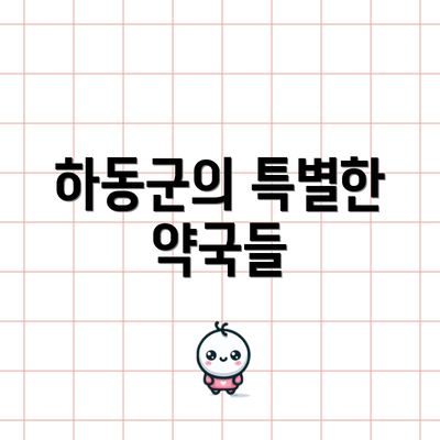 하동군의 특별한 약국들