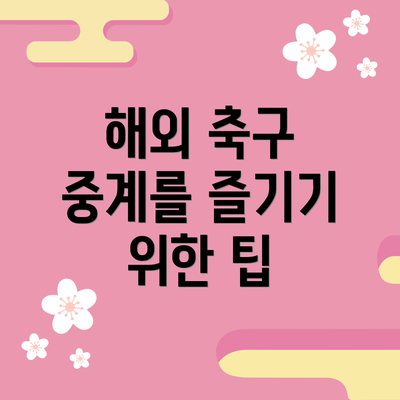 해외 축구 중계를 즐기기 위한 팁