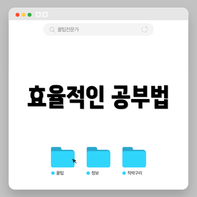 효율적인 공부법